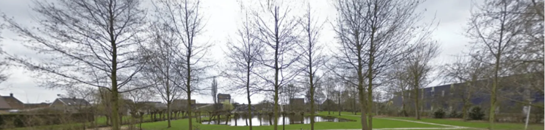 Groene omgeving met bomen en water in Lekkerkerk
